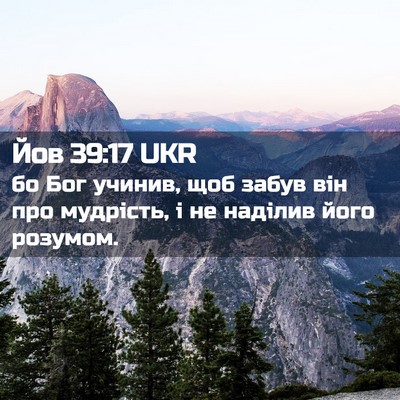 Picture 02 - Йов 39:17 UKR - бо Бог учинив, щоб забув - Bible Verse Picture