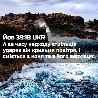 Picture 02 - Йов 39:18 UKR - А за часу надходу - Bible Verse Picture