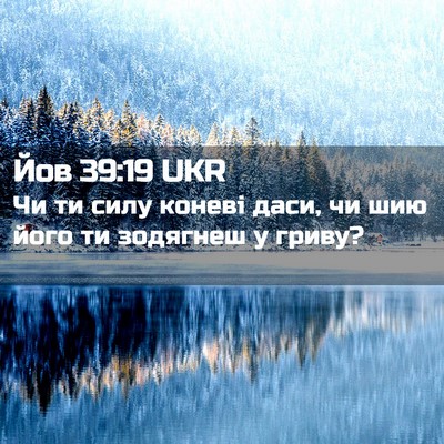 Picture 02 - Йов 39:19 UKR - Чи ти силу коневі даси, чи - Bible Verse Picture