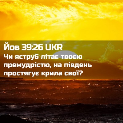 Picture 02 - Йов 39:26 UKR - Чи яструб літає твоєю - Bible Verse Picture