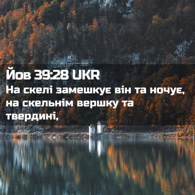 Picture 02 - Йов 39:28 UKR - На скелі замешкує він та - Bible Verse Picture