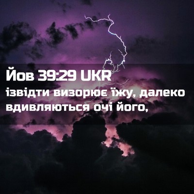 Picture 02 - Йов 39:29 UKR - ізвідти визорює їжу, - Bible Verse Picture