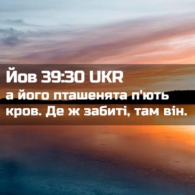 Picture 02 - Йов 39:30 UKR - а його пташенята п'ють - Bible Verse Picture