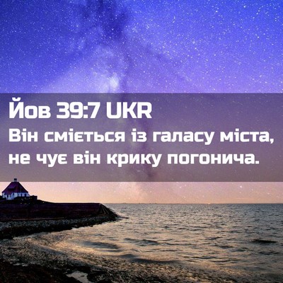 Picture 02 - Йов 39:7 UKR - Він сміється із галасу - Bible Verse Picture