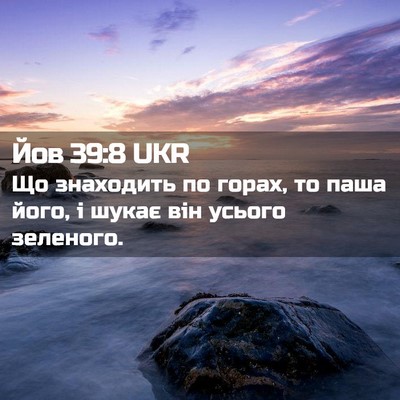 Picture 02 - Йов 39:8 UKR - Що знаходить по горах, то - Bible Verse Picture