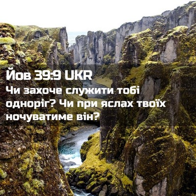 Picture 02 - Йов 39:9 UKR - Чи захоче служити тобі - Bible Verse Picture