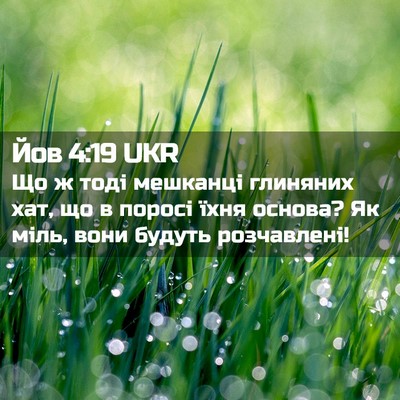 Picture 02 - Йов 4:19 UKR - Що ж тоді мешканці - Bible Verse Picture