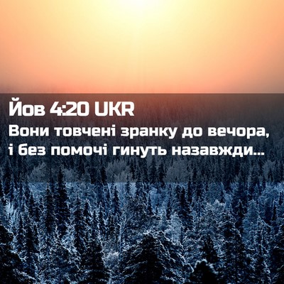 Picture 02 - Йов 4:20 UKR - Вони товчені зранку до - Bible Verse Picture