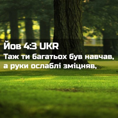 Picture 02 - Йов 4:3 UKR - Таж ти багатьох був навчав, - Bible Verse Picture