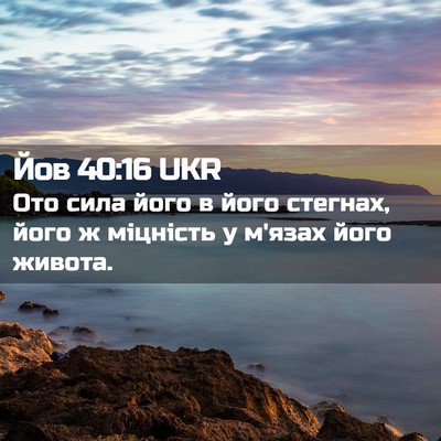 Picture 02 - Йов 40:16 UKR - Ото сила його в його - Bible Verse Picture
