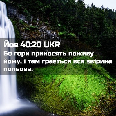 Picture 02 - Йов 40:20 UKR - Бо гори приносять поживу - Bible Verse Picture
