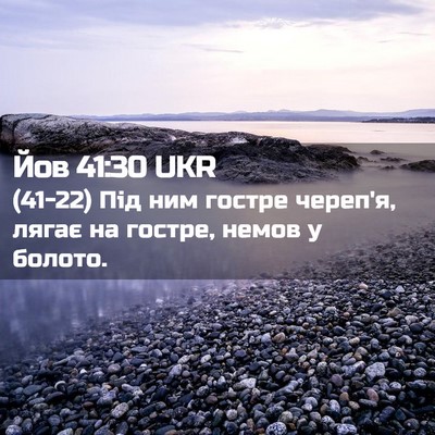 Picture 02 - Йов 41:30 UKR - (41-22) Під ним гостре череп'я, - Bible Verse Picture