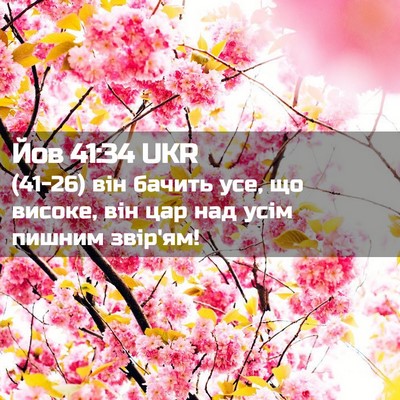 Picture 02 - Йов 41:34 UKR - (41-26) він бачить усе, що - Bible Verse Picture