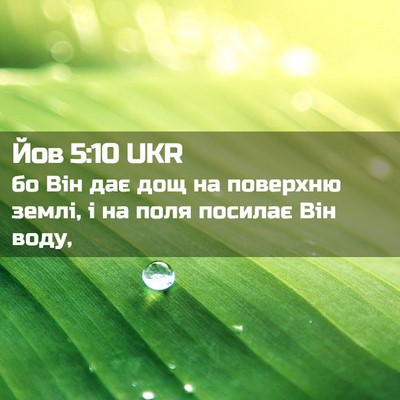Picture 02 - Йов 5:10 UKR - бо Він дає дощ на поверхню - Bible Verse Picture