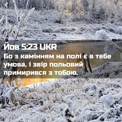 Picture 02 - Йов 5:23 UKR - Бо з камінням на полі є в - Bible Verse Picture
