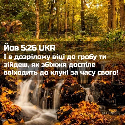 Picture 02 - Йов 5:26 UKR - І в дозрілому віці до гробу - Bible Verse Picture