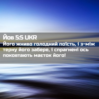 Picture 02 - Йов 5:5 UKR - Його жниво голодний - Bible Verse Picture