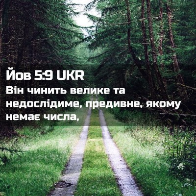 Picture 02 - Йов 5:9 UKR - Він чинить велике та - Bible Verse Picture