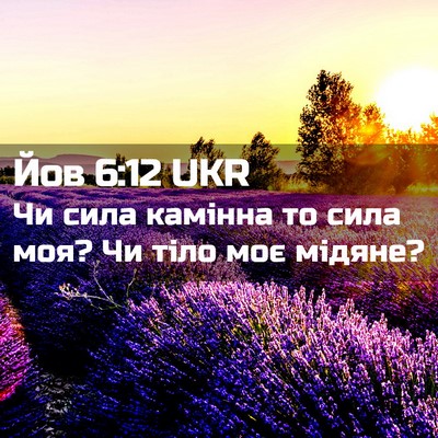 Picture 02 - Йов 6:12 UKR - Чи сила камінна то сила - Bible Verse Picture