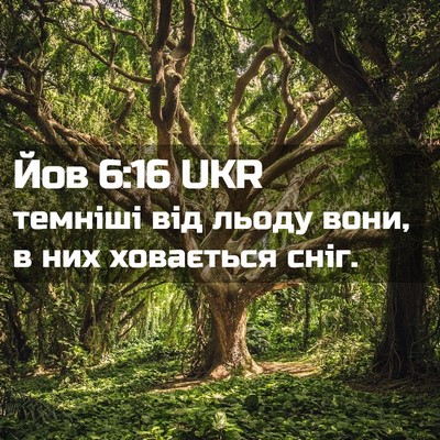 Picture 02 - Йов 6:16 UKR - темніші від льоду вони, в - Bible Verse Picture