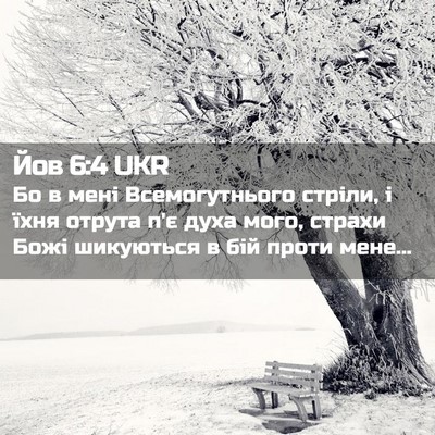 Picture 02 - Йов 6:4 UKR - Бо в мені Всемогутнього - Bible Verse Picture