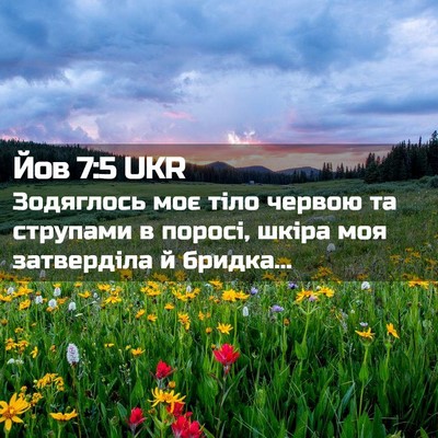 Picture 02 - Йов 7:5 UKR - Зодяглось моє тіло червою - Bible Verse Picture