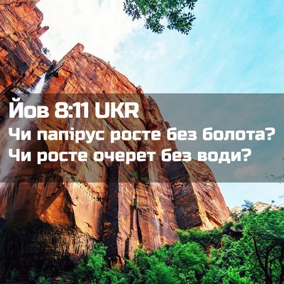 Picture 02 - Йов 8:11 UKR - Чи папірус росте без - Bible Verse Picture