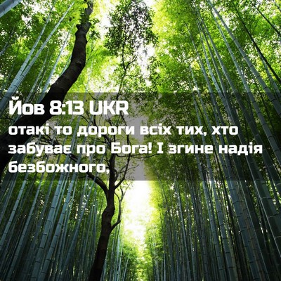 Picture 02 - Йов 8:13 UKR - отакі то дороги всіх тих, - Bible Verse Picture