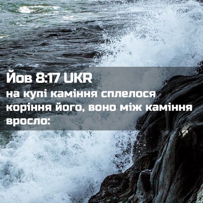 Picture 02 - Йов 8:17 UKR - на купі каміння сплелося - Bible Verse Picture