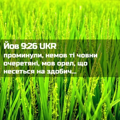Picture 02 - Йов 9:26 UKR - проминули, немов ті човни - Bible Verse Picture