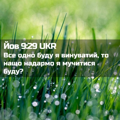 Picture 02 - Йов 9:29 UKR - Все одно буду я винуватий, - Bible Verse Picture