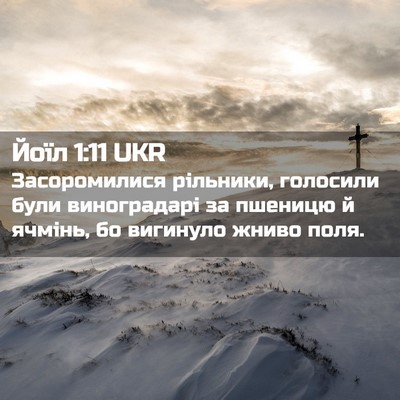 Picture 02 - Йоїл 1:11 UKR - Засоромилися рільники, - Bible Verse Picture