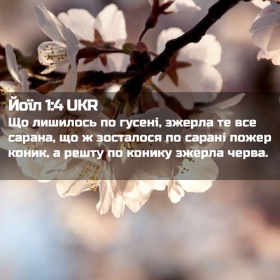 Picture 02 - Йоїл 1:4 UKR - Що лишилось по гусені, - Bible Verse Picture