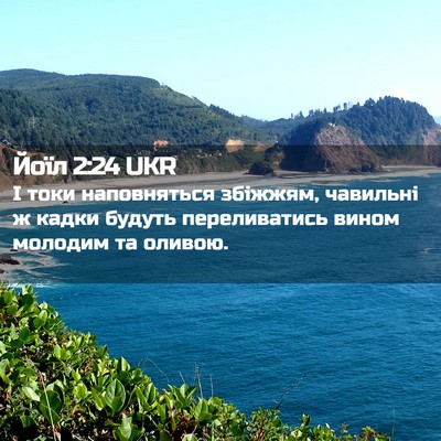 Picture 02 - Йоїл 2:24 UKR - І токи наповняться - Bible Verse Picture