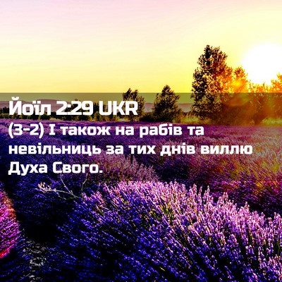 Picture 02 - Йоїл 2:29 UKR - (3-2) І також на рабів та - Bible Verse Picture
