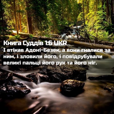 Picture 02 - Книга Суддів 1:6 UKR - І втікав Адоні-Безек, а - Bible Verse Picture