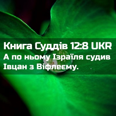 Picture 02 - Книга Суддів 12:8 UKR - А по ньому Ізраїля судив - Bible Verse Picture