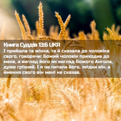 Picture 02 - Книга Суддів 13:6 UKR - І прийшла та жінка, та й - Bible Verse Picture