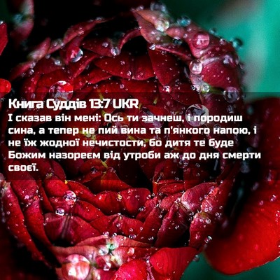 Picture 02 - Книга Суддів 13:7 UKR - І сказав він мені: Ось ти - Bible Verse Picture