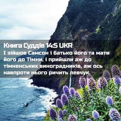 Picture 02 - Книга Суддів 14:5 UKR - І зійшов Самсон і батько - Bible Verse Picture
