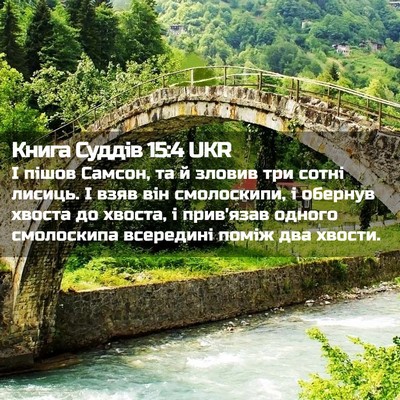 Picture 02 - Книга Суддів 15:4 UKR - І пішов Самсон, та й зловив - Bible Verse Picture