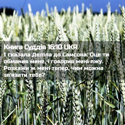 Picture 02 - Книга Суддів 16:10 UKR - І сказала Деліла до - Bible Verse Picture