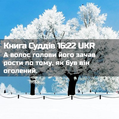Picture 02 - Книга Суддів 16:22 UKR - А волос голови його зачав - Bible Verse Picture