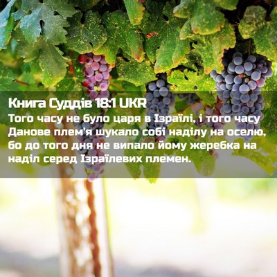 Picture 02 - Книга Суддів 18:1 UKR - Того часу не було царя в - Bible Verse Picture