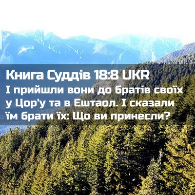 Picture 02 - Книга Суддів 18:8 UKR - І прийшли вони до братів - Bible Verse Picture