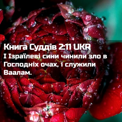 Picture 02 - Книга Суддів 2:11 UKR - І Ізраїлеві сини чинили - Bible Verse Picture