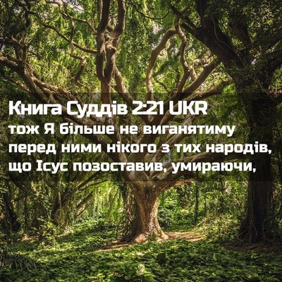 Picture 02 - Книга Суддів 2:21 UKR - тож Я більше не виганятиму - Bible Verse Picture