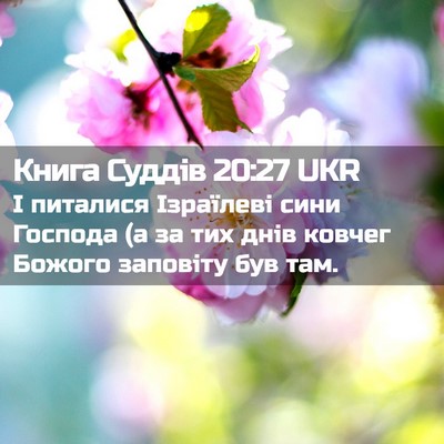 Picture 02 - Книга Суддів 20:27 UKR - І питалися Ізраїлеві сини - Bible Verse Picture