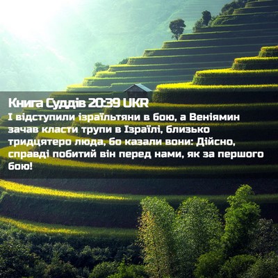 Picture 02 - Книга Суддів 20:39 UKR - І відступили ізраїльтяни в - Bible Verse Picture