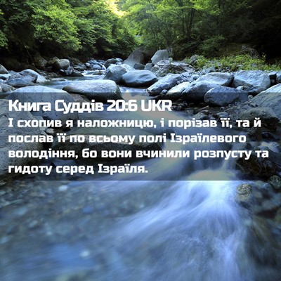 Picture 02 - Книга Суддів 20:6 UKR - І схопив я наложницю, і - Bible Verse Picture